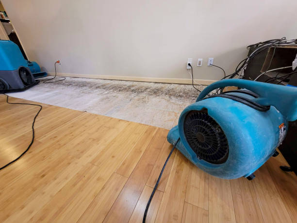 Professional Sewage Cleanup technician working in Albion, ME
